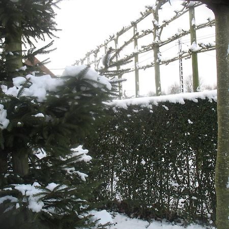 B&B Greenhouse 37 Langemark Экстерьер фото