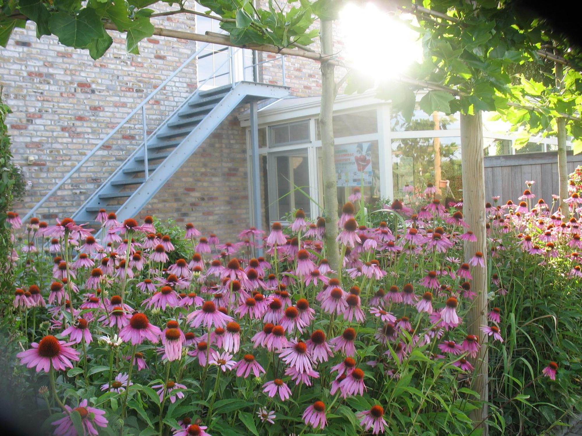 B&B Greenhouse 37 Langemark Экстерьер фото
