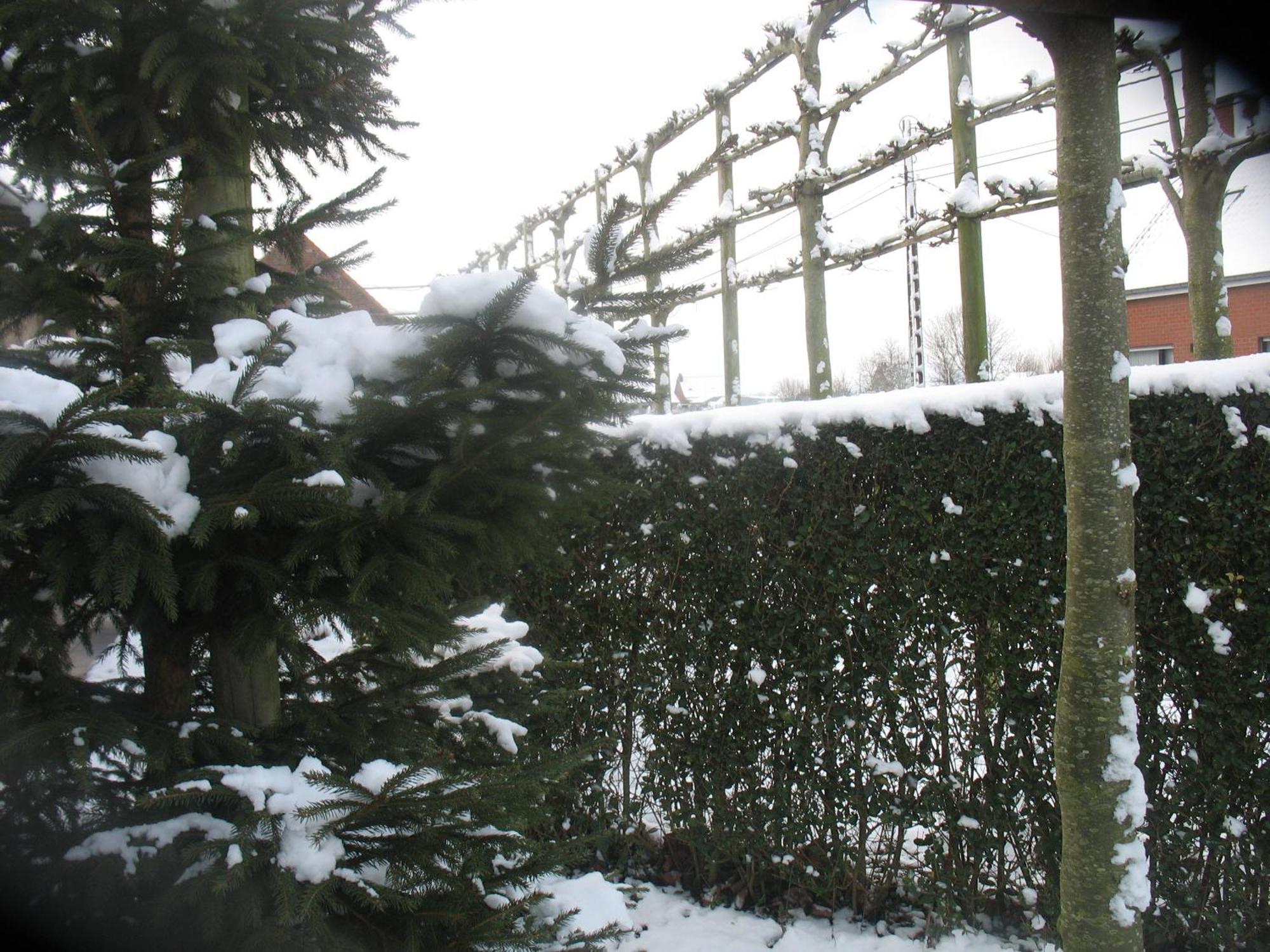 B&B Greenhouse 37 Langemark Экстерьер фото